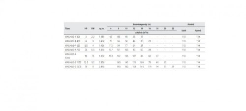 MAGNUS-4 300 45M3/H H=10M 3,0HP 230V/400V